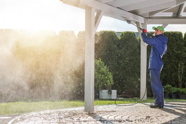 Best Gutter Cleaning  in Rock Creek, AL